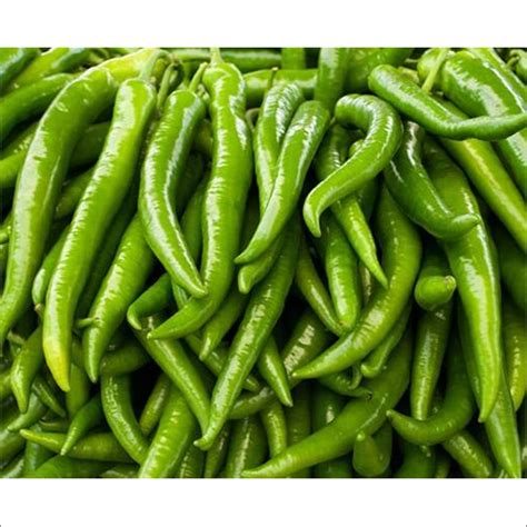 Natural Fresh Green Chilli At Best Price In Mumbai Vsource Global Trade