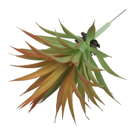 Plante Artificielle Agave Orange Cm