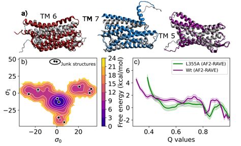 A Sstr Structures Highlighting Helix Movement In Tm Tm Tm Via