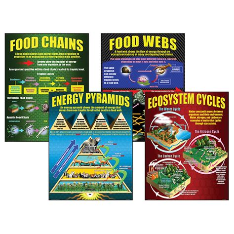 ecosystems teaching posters set   mc p teacher created