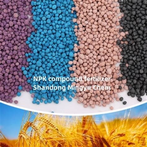 Rotary Granular Npk Compound Fertilizer 15 5 25 High Efficiency With Factory Price China 16 4