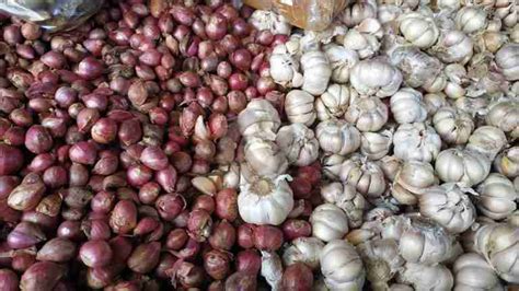 Harga Bawang Merah Terbaru Bulan Januari