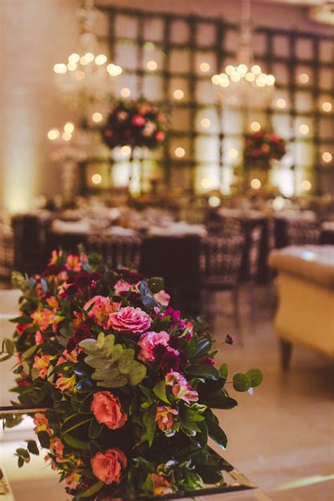 Roses in Restaurant · Free Stock Photo