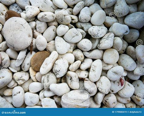 Rock White In Gardenwhite Pebbles For Backgroundtexture Rock Or Stone