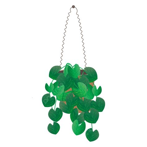 Isolated Hanging Plant Pot With Green Leaves Hanging Plant Pot Pot