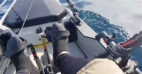 Great White Shark Chases Two Kayakers In Terrifying Footage As They