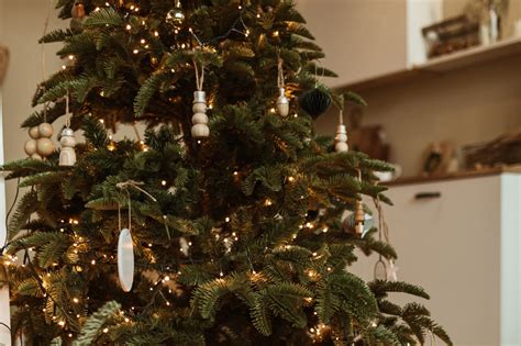 Hoeveel Lampjes In De Kerstboom AVRI Bloem En Tuincentrum