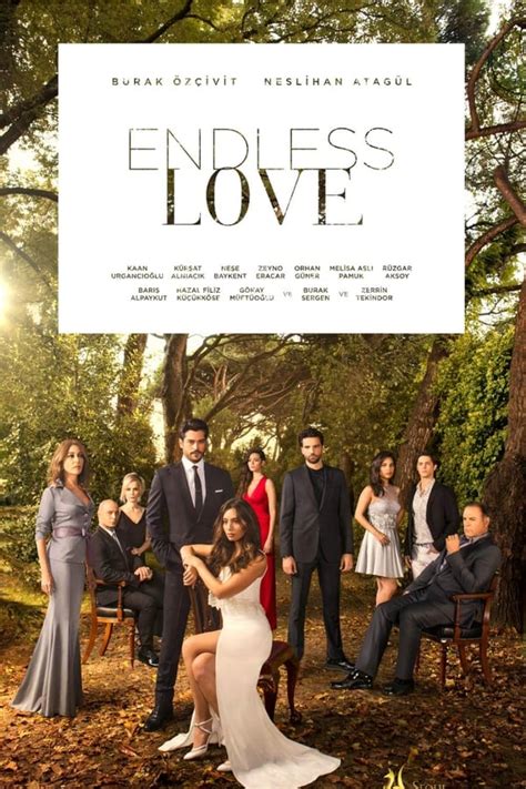 Endless Love Tv Series The Movie Database Tmdb