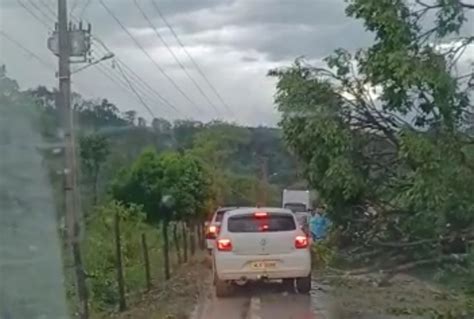 Chuva forte de granizo ventania traz prejuízos em Taió Rede Web TV