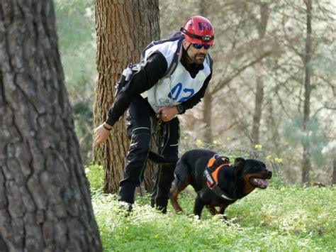 Prove Operative Concluse Con Successo Per Cani Da Soccorso In Sicilia