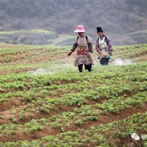 【图说】贵州丹寨：春分时节耕种忙村民田应龙杨光明