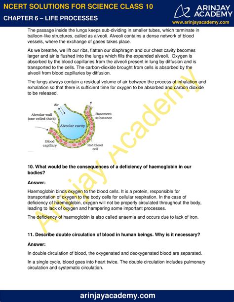 Ncert Solutions For Class 10 Science Chapter 6 Life Processes