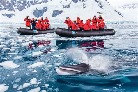 Lindblad Adds Two New Antarctica Expeditions - TravelPress