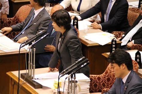 3年間のブランクを感じさせない舟山康江議員の予算委員会での質疑 舟山やすえの活動日記