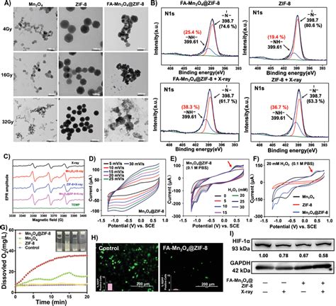 The Capacity Of Famn O Zif In Xray Activation And Oxygen