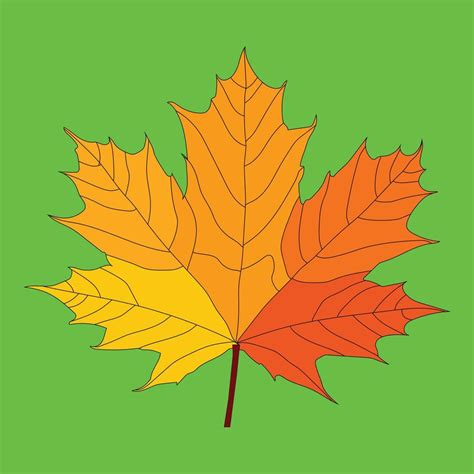 A beautiful Fall Leaf illustration vector art design 21789021 Vector ...