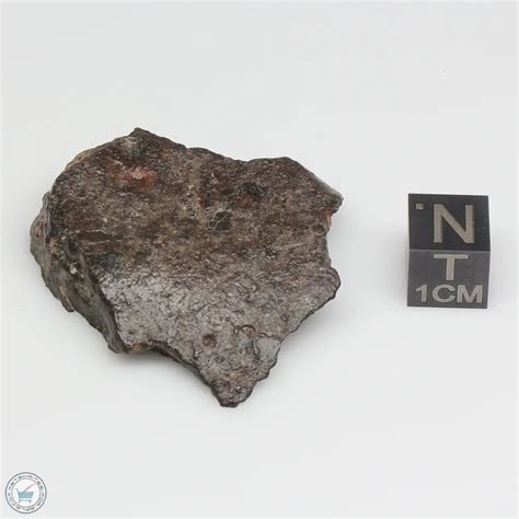 Nwa 869 Meteorite 869 318 The Meteorite Exchange Inc