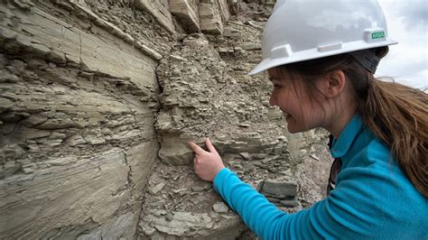 Qu Salidas Laborales Tiene La Carrera De Geolog A Documentales