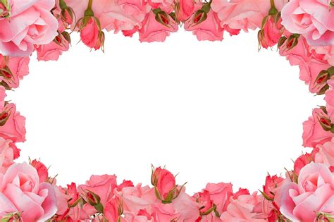 Roses Frame Flower Rose - Free photo on Pixabay