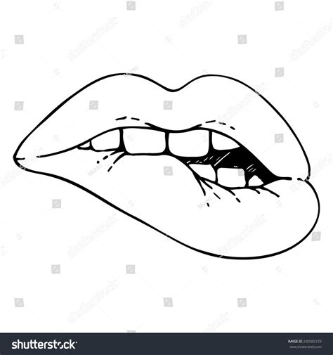 Sexy Lips Vector Illustration 库存矢量图（免版税）230560729 Shutterstock