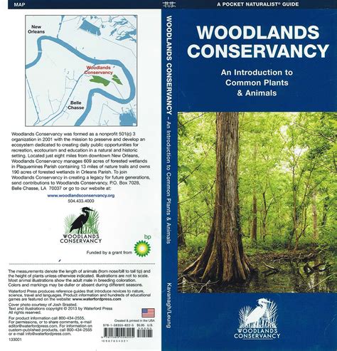 Species Identification – Woodlands Conservancy