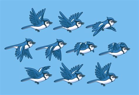 Premium Vector | Blue bird flying cycle