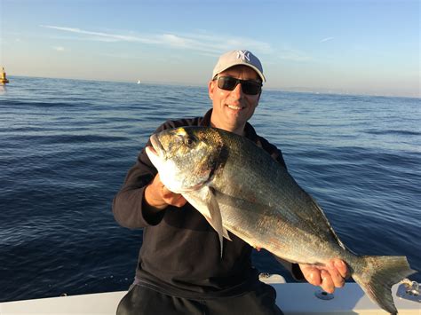 Pêche De La Dorade Informations Techniques Matériel