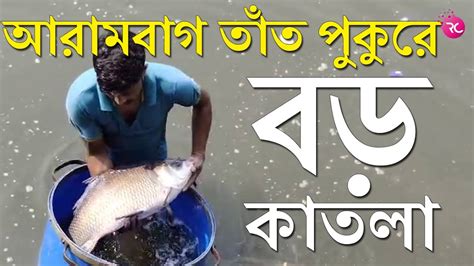 bd bd katla oo bivinn saijer katla mach chada dekhun arambag tannt