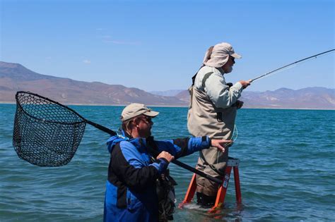 Techniques | Pyramid Lake Fly Fishing