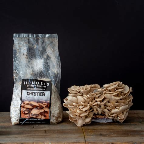 Bulk Discounts Will Likely Accompany The Next Mushrooms Sale - RYZE Superfoods