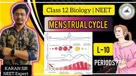 Menstrual Cycle Human Reproduction Class Ncert Karan Sir Youtube