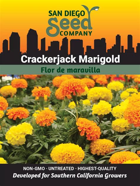 Marigold, Crackerjack Seeds | Gardener's Supply