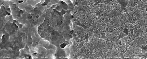 Fe Sem Images Showing The Morphology Of Pedot Pss A And F Bt Coated