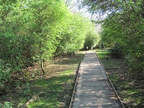 Abberton Reservoir Nature Reserve & Visitor Cen - Woodland Trust