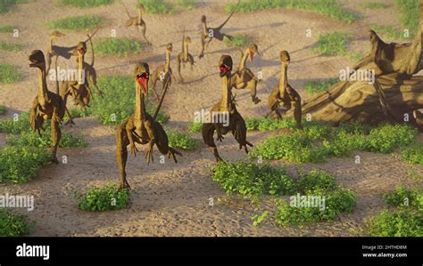 Periodo Giurassico Dinosaurs Immagini E Fotografie Stock Ad Alta Risoluzione Alamy