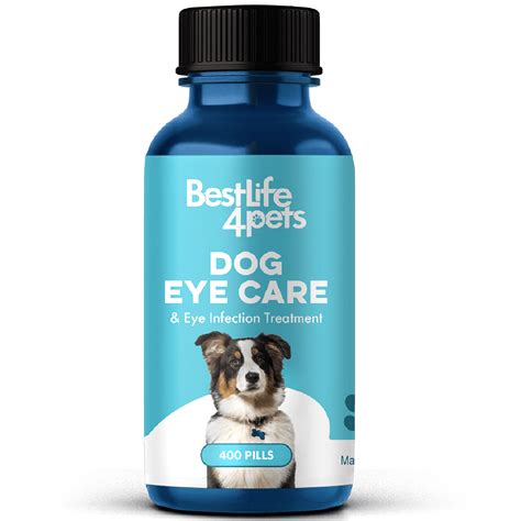Natural Eye Infection Treatment for Dogs // BestLife4Pets