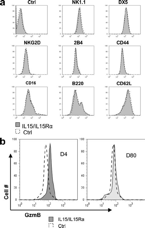 Phenotype of NK cells in Rag Ϫ Ϫ mice that accepted a second DBA 2