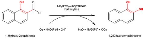 Eawag Bbd Reaction Reacid R0491