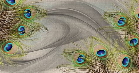 Peacock Feather Wallpaper Desktop Peacock Feather Wallpaper 4K,