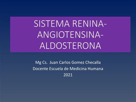 C Sistema Renina Angiotensina Aldosterona Ppt