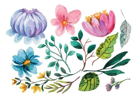 Watercolor Flower Elements 11887171 Vector Art At Vecteezy