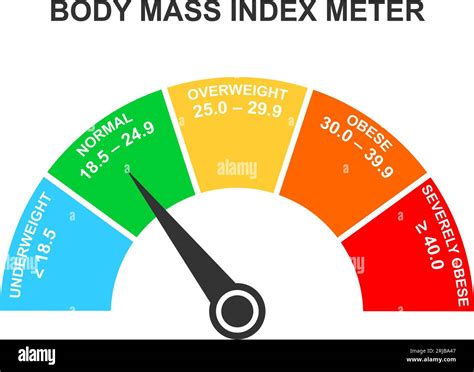 Body Mass Index Meter Infographic Bmi Dashboard With Arrow Weight