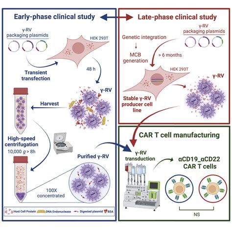 Efficient Clinical Grade γ Retroviral Vector Purification By High Speed