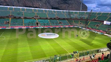 Foto Palermo Brescia Le Prime Immagini Dal Barbera Tifosipalermo