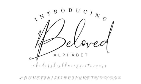 Signature Font Calligraphy Logotype Script Brush Font Type Font ...