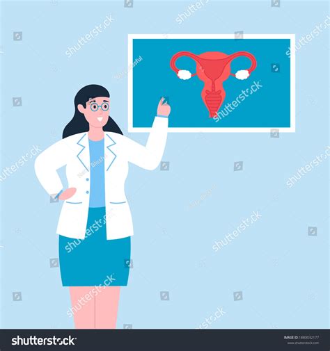 Female Doctor Gynecologist Explaining Reproductive System Stock Vector