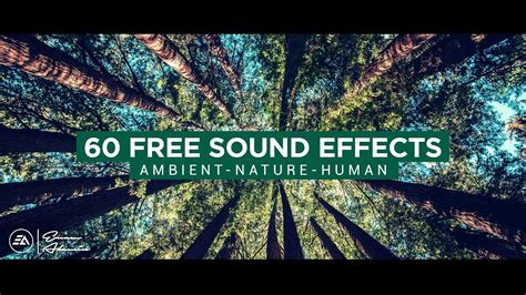 60 Free Ambient Natural And Human Sounds Cinematic Sound Effects Youtube