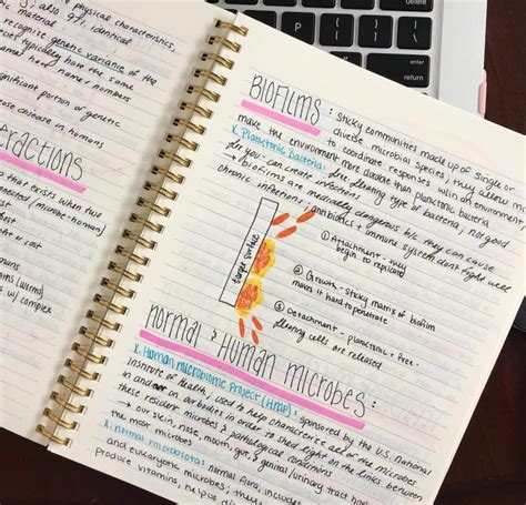 Life and Lattes: How-To: College Lecture Notes