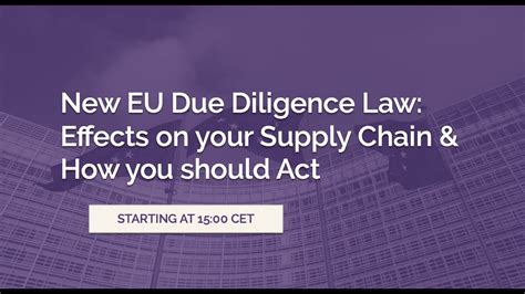 New EU Due Diligence Law Effects On Your Supply Chain How You Should