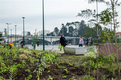 Ilustre Municipalidad De Valdivia Actividad Comunitaria Logra